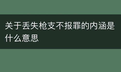 关于丢失枪支不报罪的内涵是什么意思