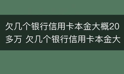 欠几个银行信用卡本金大概20多万 欠几个银行信用卡本金大概20多万元