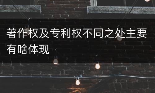 著作权及专利权不同之处主要有啥体现