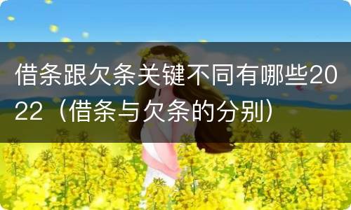 借条跟欠条关键不同有哪些2022（借条与欠条的分别）