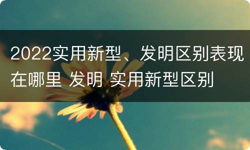 2022实用新型、发明区别表现在哪里 发明 实用新型区别