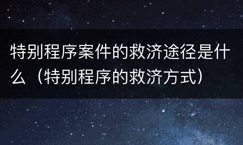 特别程序案件的救济途径是什么（特别程序的救济方式）