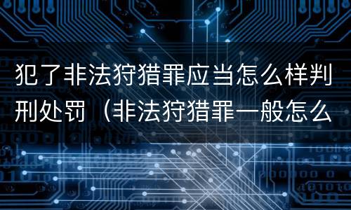 犯了非法狩猎罪应当怎么样判刑处罚（非法狩猎罪一般怎么判）
