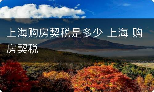 上海购房契税是多少 上海 购房契税