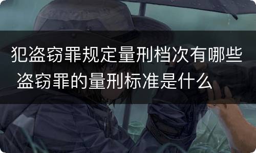犯盗窃罪规定量刑档次有哪些 盗窃罪的量刑标准是什么