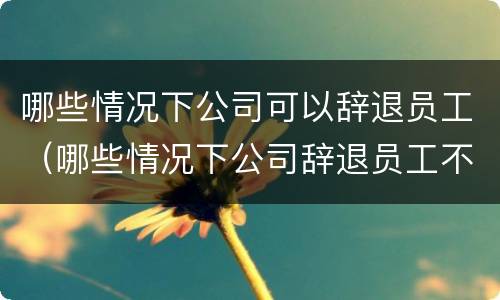 哪些情况下公司可以辞退员工（哪些情况下公司辞退员工不用赔偿）