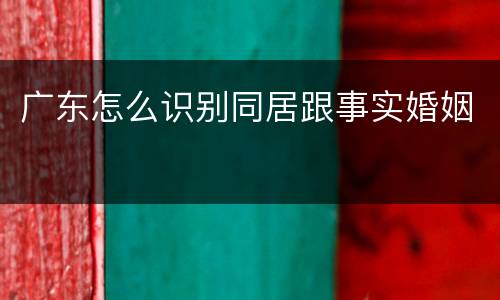 广东怎么识别同居跟事实婚姻