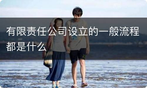 有限责任公司设立的一般流程都是什么