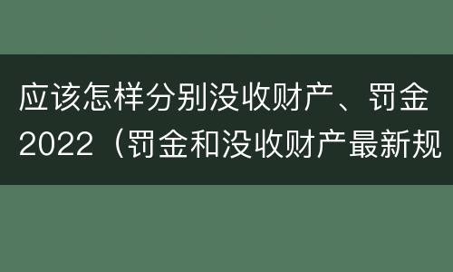 应该怎样分别没收财产、罚金2022（罚金和没收财产最新规定）
