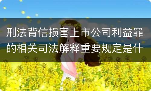 刑法背信损害上市公司利益罪的相关司法解释重要规定是什么