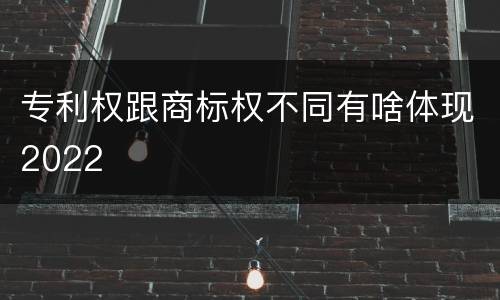 专利权跟商标权不同有啥体现2022