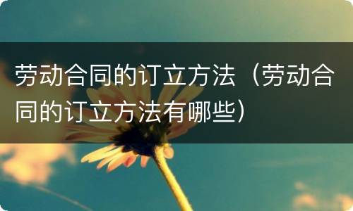 劳动合同的订立方法（劳动合同的订立方法有哪些）