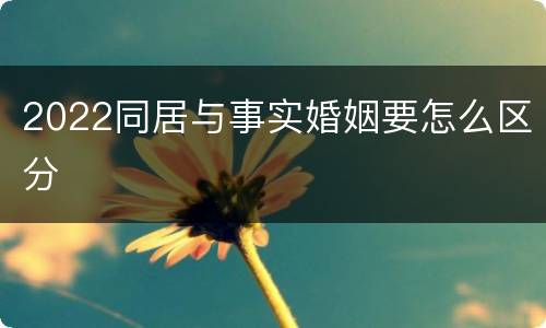 2022同居与事实婚姻要怎么区分