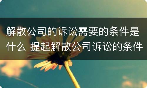 解散公司的诉讼需要的条件是什么 提起解散公司诉讼的条件