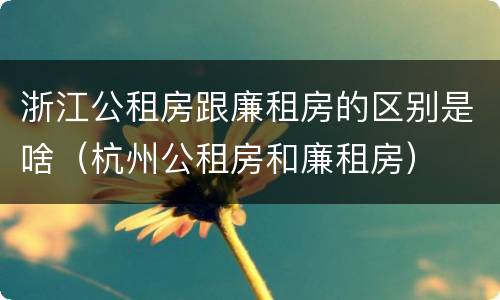 浙江公租房跟廉租房的区别是啥（杭州公租房和廉租房）