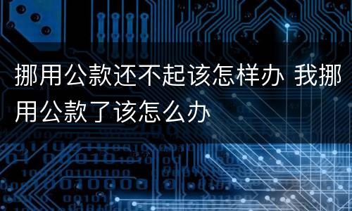 挪用公款还不起该怎样办 我挪用公款了该怎么办