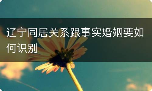 辽宁同居关系跟事实婚姻要如何识别