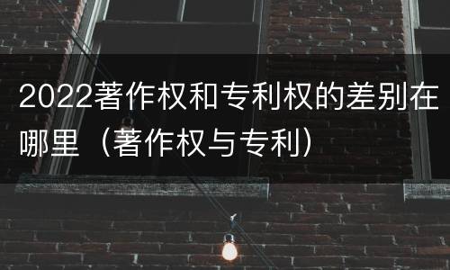 2022著作权和专利权的差别在哪里（著作权与专利）