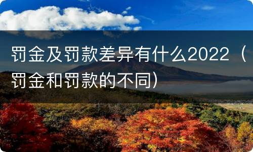 罚金及罚款差异有什么2022（罚金和罚款的不同）