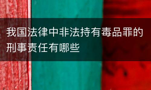 我国法律中非法持有毒品罪的刑事责任有哪些