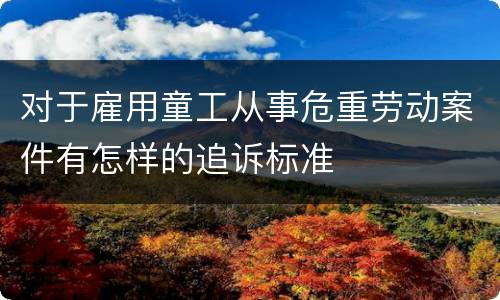 对于雇用童工从事危重劳动案件有怎样的追诉标准