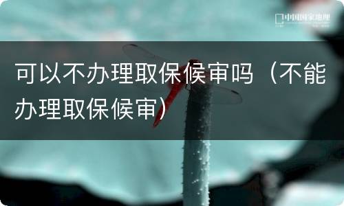 可以不办理取保候审吗（不能办理取保候审）