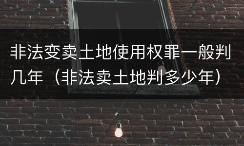 非法变卖土地使用权罪一般判几年（非法卖土地判多少年）