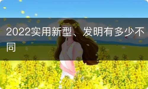 2022实用新型、发明有多少不同