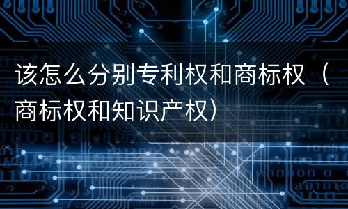 该怎么分别专利权和商标权（商标权和知识产权）