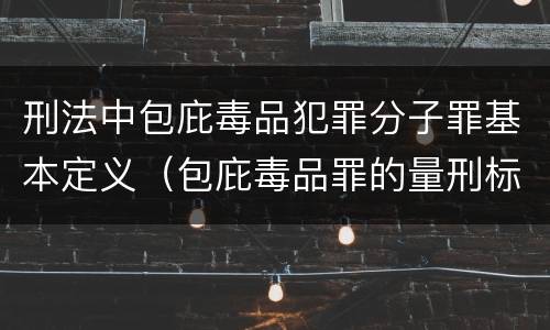 刑法中包庇毒品犯罪分子罪基本定义（包庇毒品罪的量刑标准）