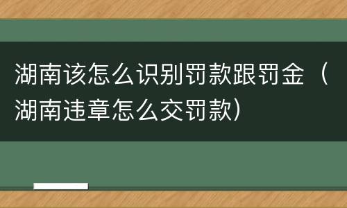 湖南该怎么识别罚款跟罚金（湖南违章怎么交罚款）