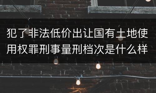 犯了非法低价出让国有土地使用权罪刑事量刑档次是什么样