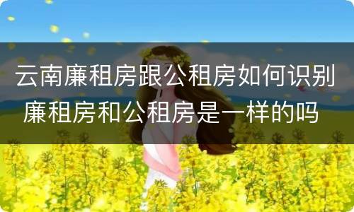 云南廉租房跟公租房如何识别 廉租房和公租房是一样的吗