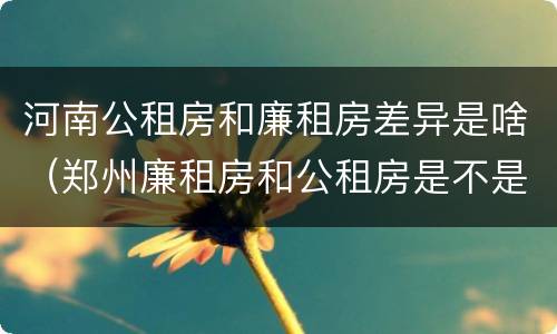 河南公租房和廉租房差异是啥（郑州廉租房和公租房是不是一样）