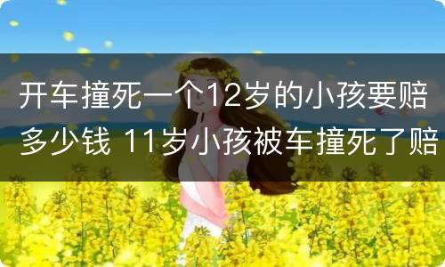 开车撞死一个12岁的小孩要赔多少钱 11岁小孩被车撞死了赔偿标准是多少?