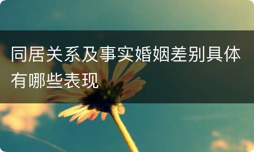 同居关系及事实婚姻差别具体有哪些表现