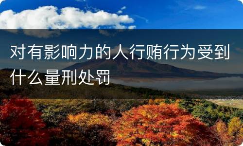 对有影响力的人行贿行为受到什么量刑处罚