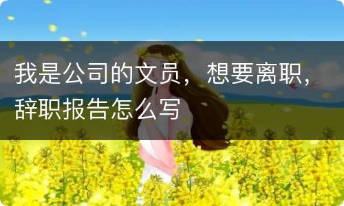 我是公司的文员，想要离职，辞职报告怎么写