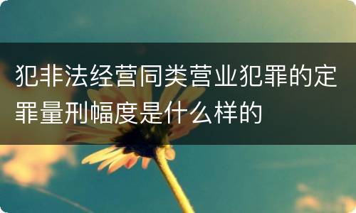 犯非法经营同类营业犯罪的定罪量刑幅度是什么样的
