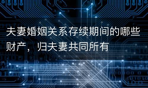 夫妻婚姻关系存续期间的哪些财产，归夫妻共同所有