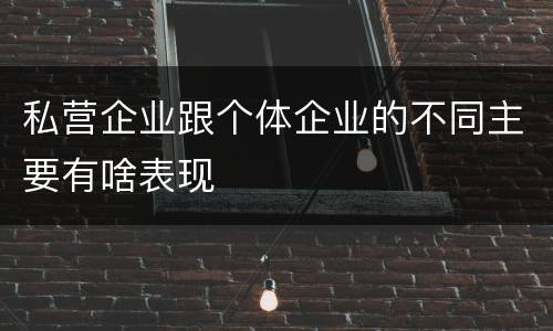 私营企业跟个体企业的不同主要有啥表现