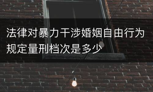 法律对暴力干涉婚姻自由行为规定量刑档次是多少