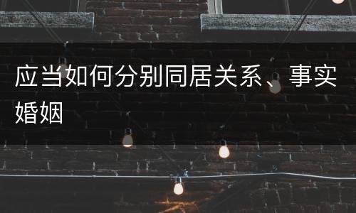 应当如何分别同居关系、事实婚姻
