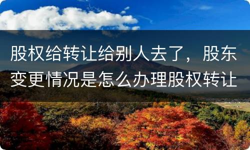 股权给转让给别人去了，股东变更情况是怎么办理股权转让的