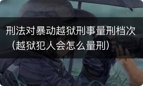 刑法对暴动越狱刑事量刑档次（越狱犯人会怎么量刑）
