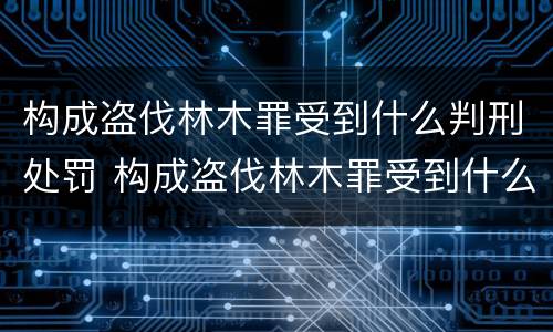 构成盗伐林木罪受到什么判刑处罚 构成盗伐林木罪受到什么判刑处罚的