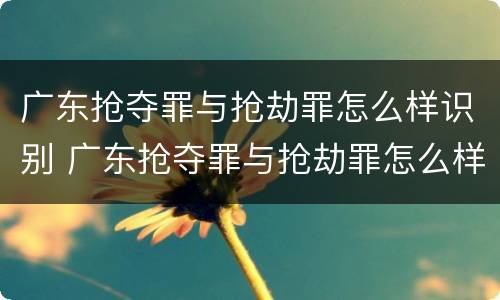 广东抢夺罪与抢劫罪怎么样识别 广东抢夺罪与抢劫罪怎么样识别的