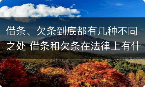 借条、欠条到底都有几种不同之处 借条和欠条在法律上有什么不一样的地方