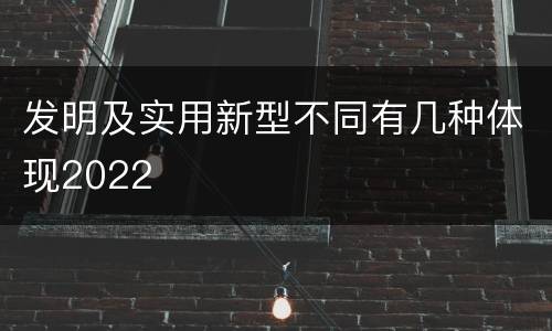 发明及实用新型不同有几种体现2022