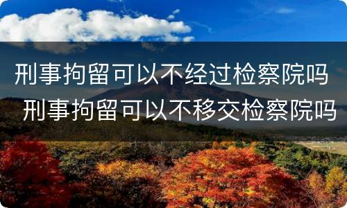 刑事拘留可以不经过检察院吗 刑事拘留可以不移交检察院吗?